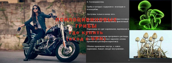 гашишное масло Ладушкин