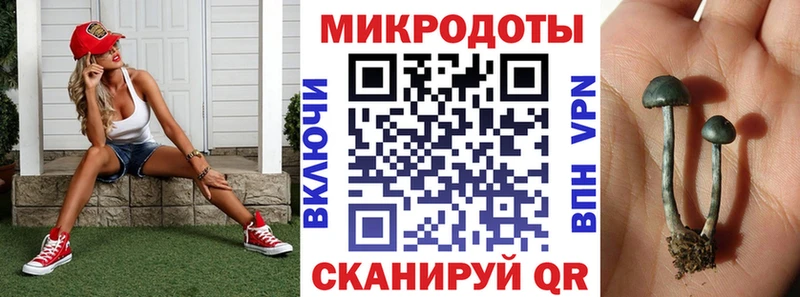 Псилоцибиновые грибы прущие грибы  Иваново 
