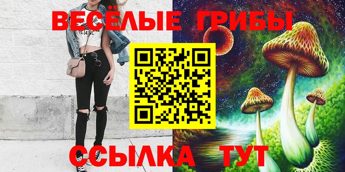 Псилоцибиновые грибы мухоморы Иваново