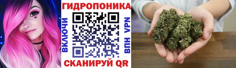 Каннабис OG Kush  Иваново 